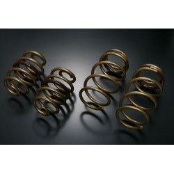 TEIN HIGH TECH Springs for NISSAN LEAF AZE0 S, X, G