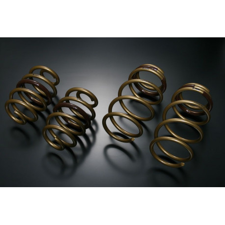 TEIN TEIN HIGH TECH Springs for NISSAN LEAF AZE0 S, X, G | races-shop.com