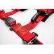 Seatbelts and accessories 4 point safety belts RACES Tuning series, 2" (50mm), red | races-shop.com