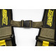 Seatbelts and accessories 5 point sport safety belts RACES Motorsport 3" (76mm), olive | races-shop.com