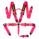 5 point sport safety belts RACES Motorsport 3