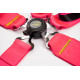 Seatbelts and accessories 5 point sport safety belts RACES Motorsport 3" (76mm), pink | races-shop.com