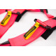 Seatbelts and accessories 5 point sport safety belts RACES Motorsport 3" (76mm), pink | races-shop.com