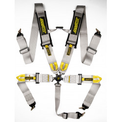 5 point safety belts RACES Motorsport series, 3" (76mm), gray