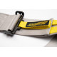 Seatbelts and accessories 5 point safety belts RACES Motorsport series, 3" (76mm), gray | races-shop.com