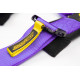 Seatbelts and accessories 5 point safety belts RACES Motorsport series, 3" (76mm), purple | races-shop.com
