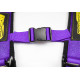 Seatbelts and accessories 5 point safety belts RACES Motorsport series, 3" (76mm), purple | races-shop.com