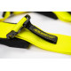 Seatbelts and accessories 5 point safety belts RACES Motorsport series, 3" (76mm), neon | races-shop.com