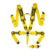 Seatbelts and accessories 5 point safety belts RACES Motorsport series, 3" (76mm), yellow | races-shop.com