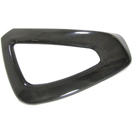Body kit and visual accessories Carbon cover door panel right for Smart 451 from 07 | races-shop.com